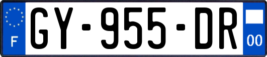 GY-955-DR