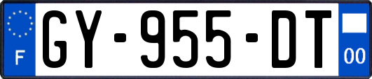GY-955-DT