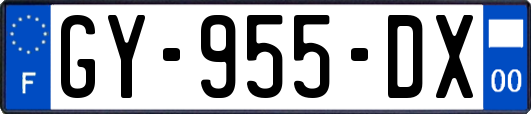 GY-955-DX