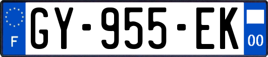GY-955-EK