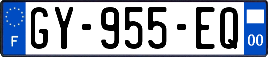 GY-955-EQ