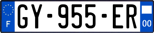 GY-955-ER