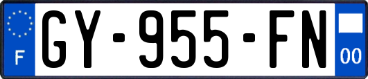 GY-955-FN