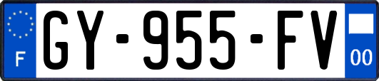 GY-955-FV