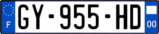 GY-955-HD