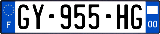 GY-955-HG