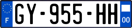 GY-955-HH