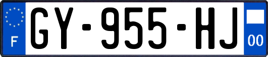 GY-955-HJ