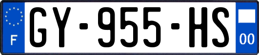 GY-955-HS