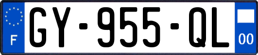 GY-955-QL