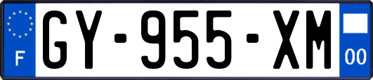 GY-955-XM