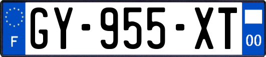 GY-955-XT