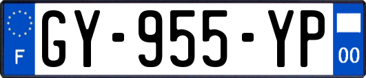 GY-955-YP