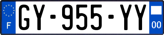 GY-955-YY