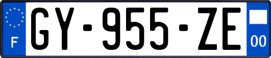 GY-955-ZE