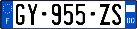 GY-955-ZS