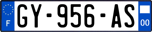 GY-956-AS