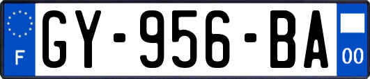 GY-956-BA