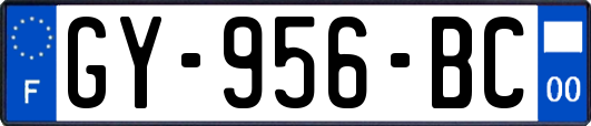 GY-956-BC