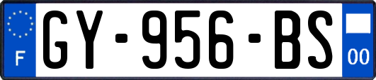 GY-956-BS