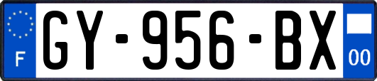 GY-956-BX