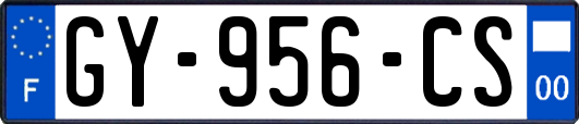 GY-956-CS