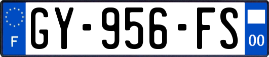 GY-956-FS