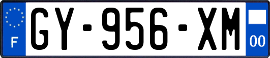 GY-956-XM