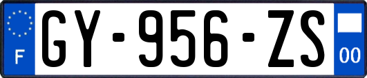 GY-956-ZS