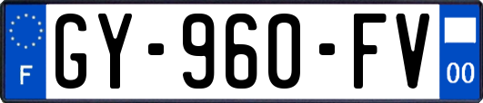 GY-960-FV