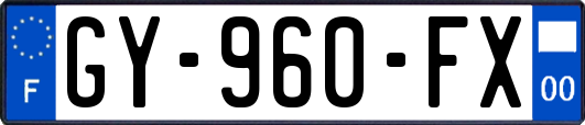 GY-960-FX