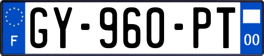 GY-960-PT