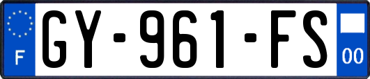 GY-961-FS