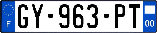 GY-963-PT