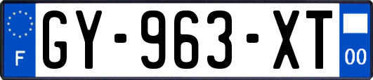 GY-963-XT