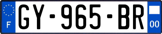 GY-965-BR