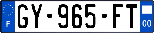 GY-965-FT
