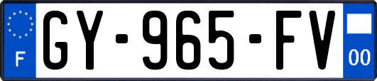 GY-965-FV