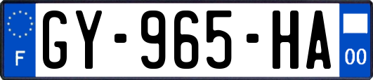 GY-965-HA