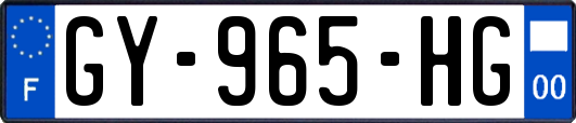 GY-965-HG