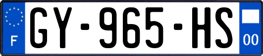 GY-965-HS
