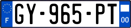 GY-965-PT