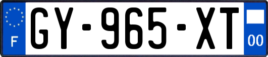 GY-965-XT
