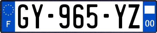 GY-965-YZ