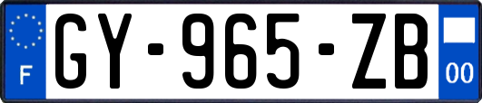 GY-965-ZB