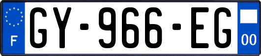 GY-966-EG