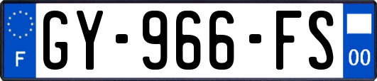 GY-966-FS