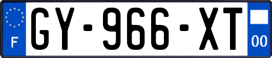 GY-966-XT