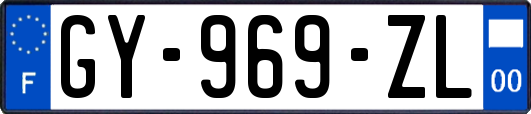 GY-969-ZL