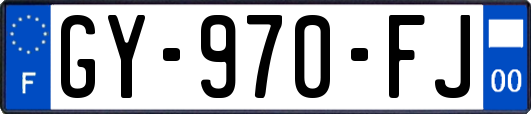 GY-970-FJ